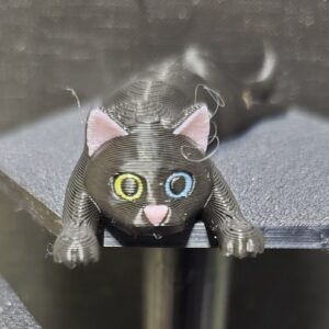 Pocket friend zwarte kat (danse macabre)