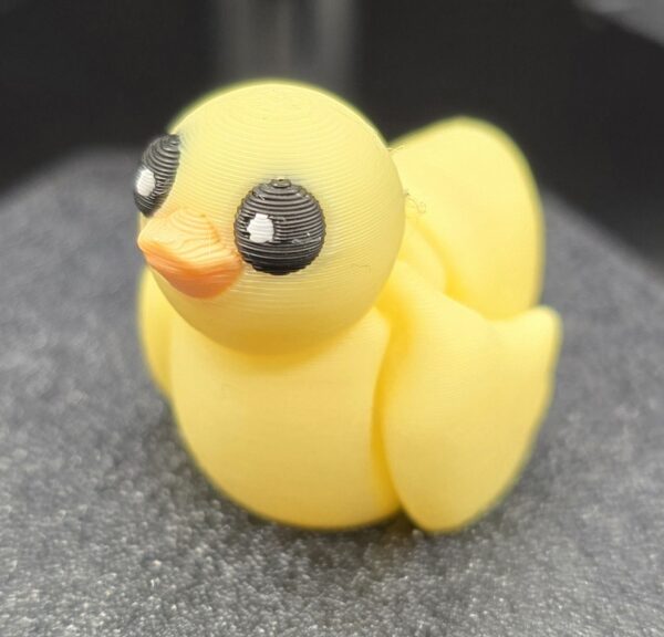 Pocket friend eendje