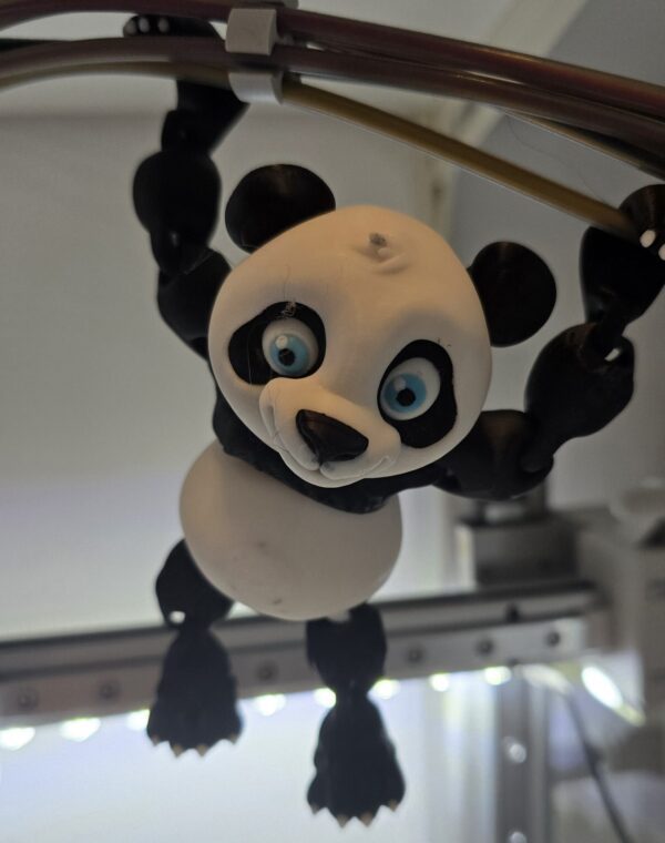 Panda Yung - Afbeelding 2