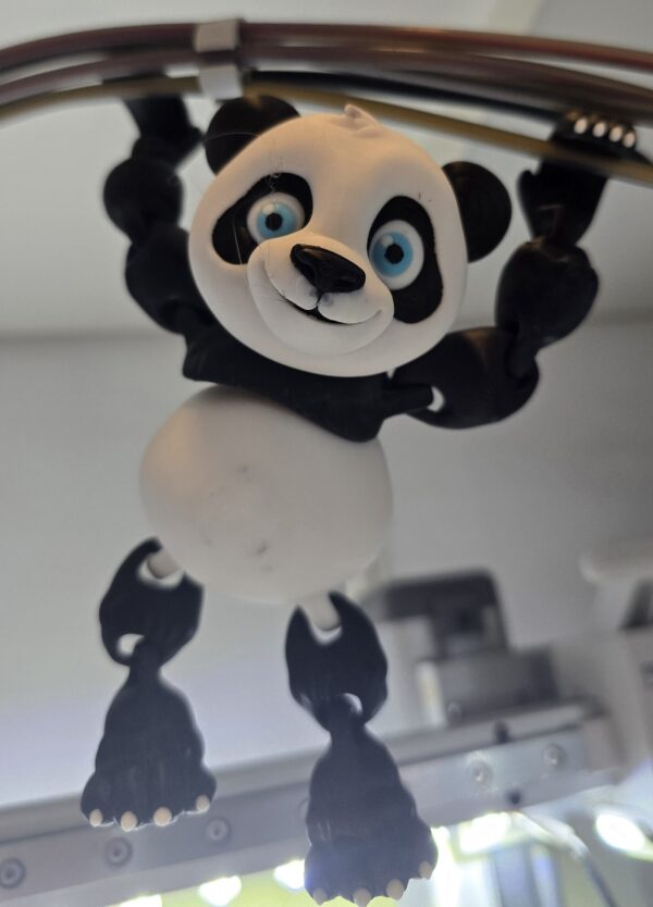Panda Yung