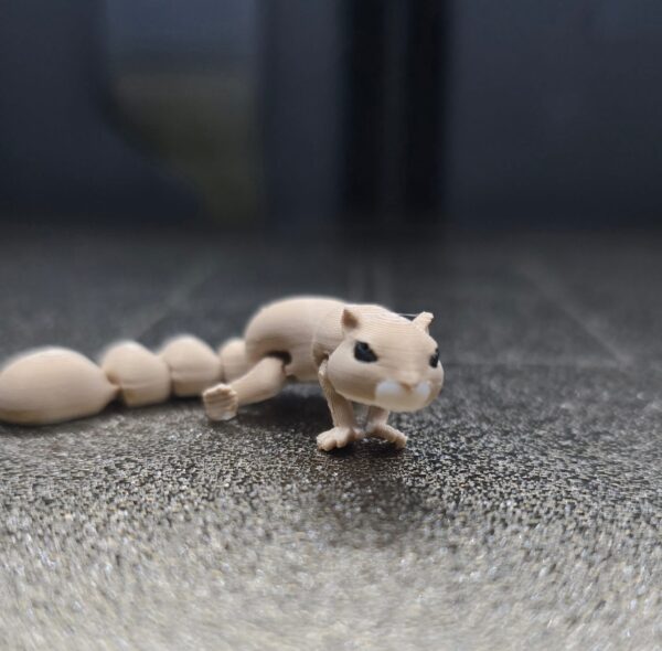 Pocket friend eekhoorn