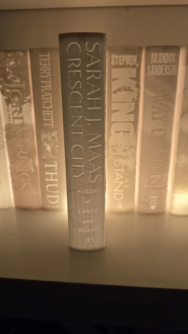 Verlicht boek - Afbeelding 15
