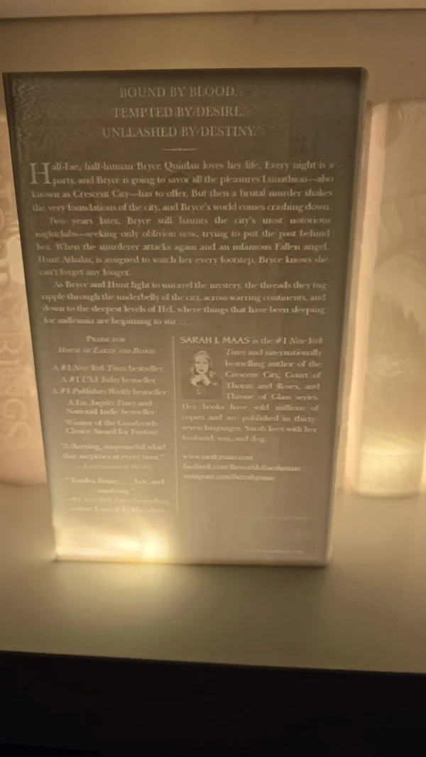 Verlicht boek - Afbeelding 14