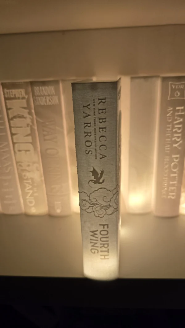Verlicht boek - Afbeelding 6