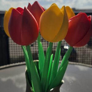 Tulpen