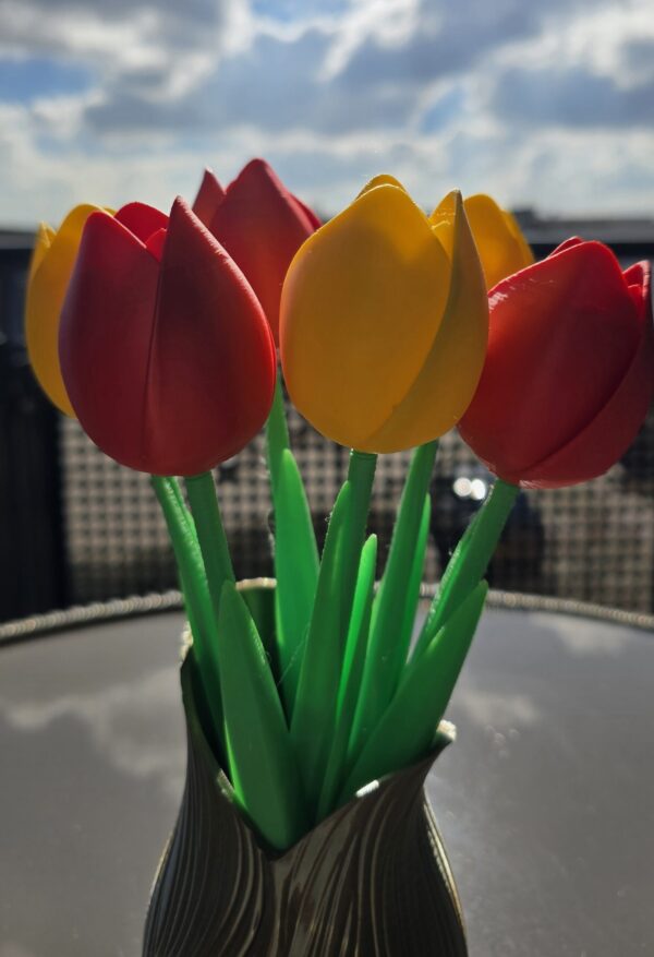 Tulpen
