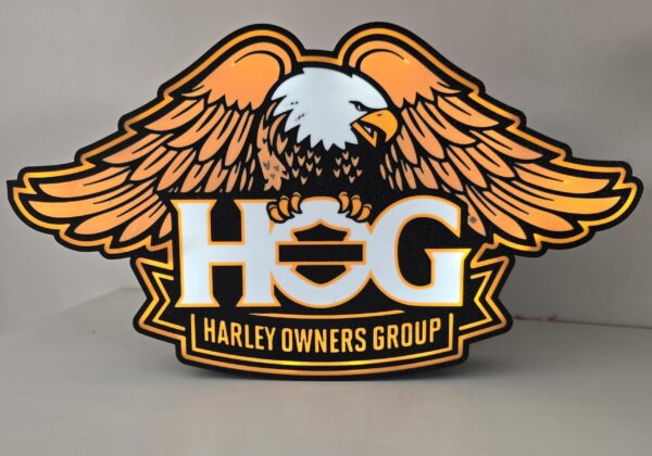 Harley owners group verlichtings bak